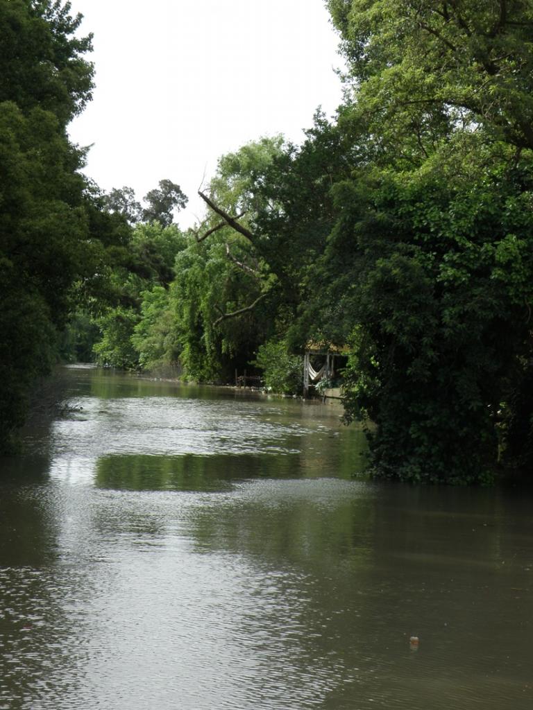 Foto de Tigre (Buenos Aires), Argentina