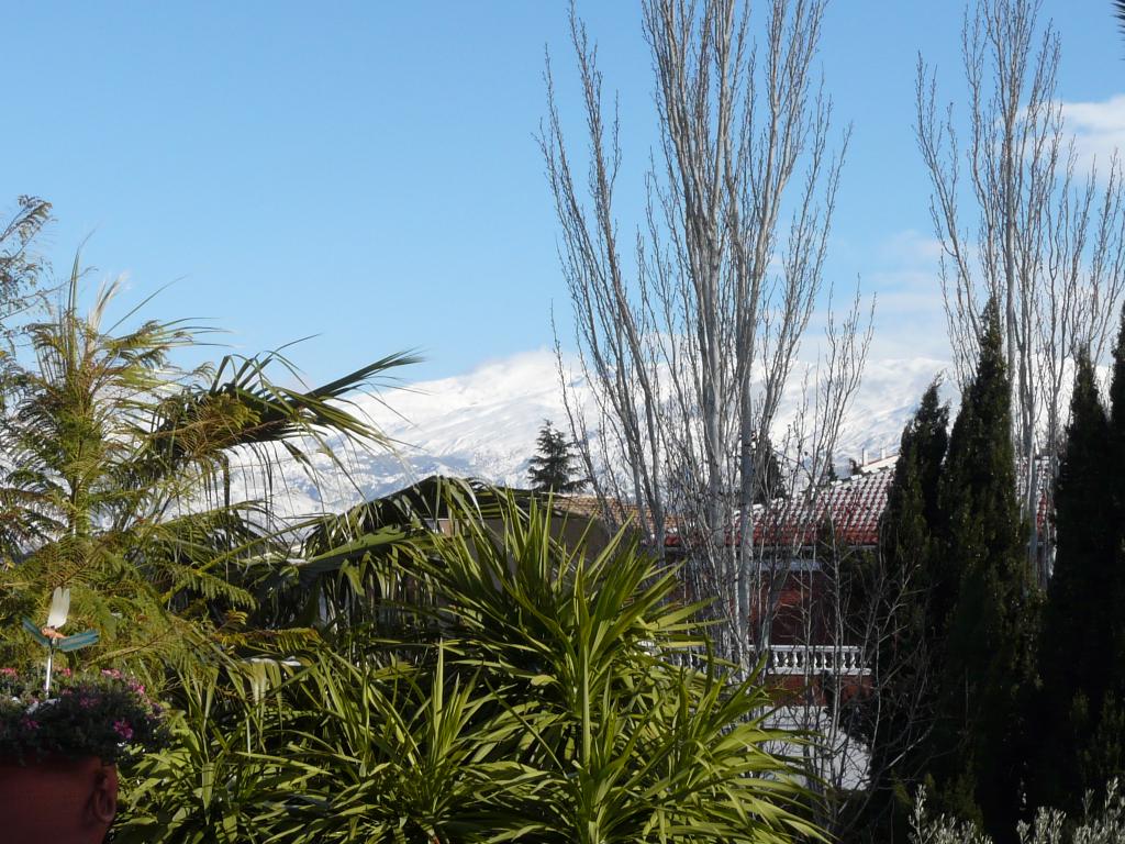 Foto de Escúzar (Granada), España