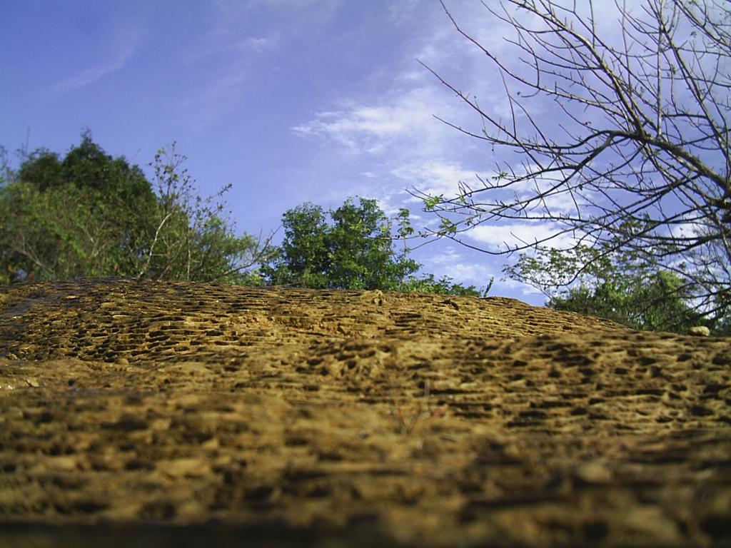 Foto de La Mesa de Veraguas, Panamá