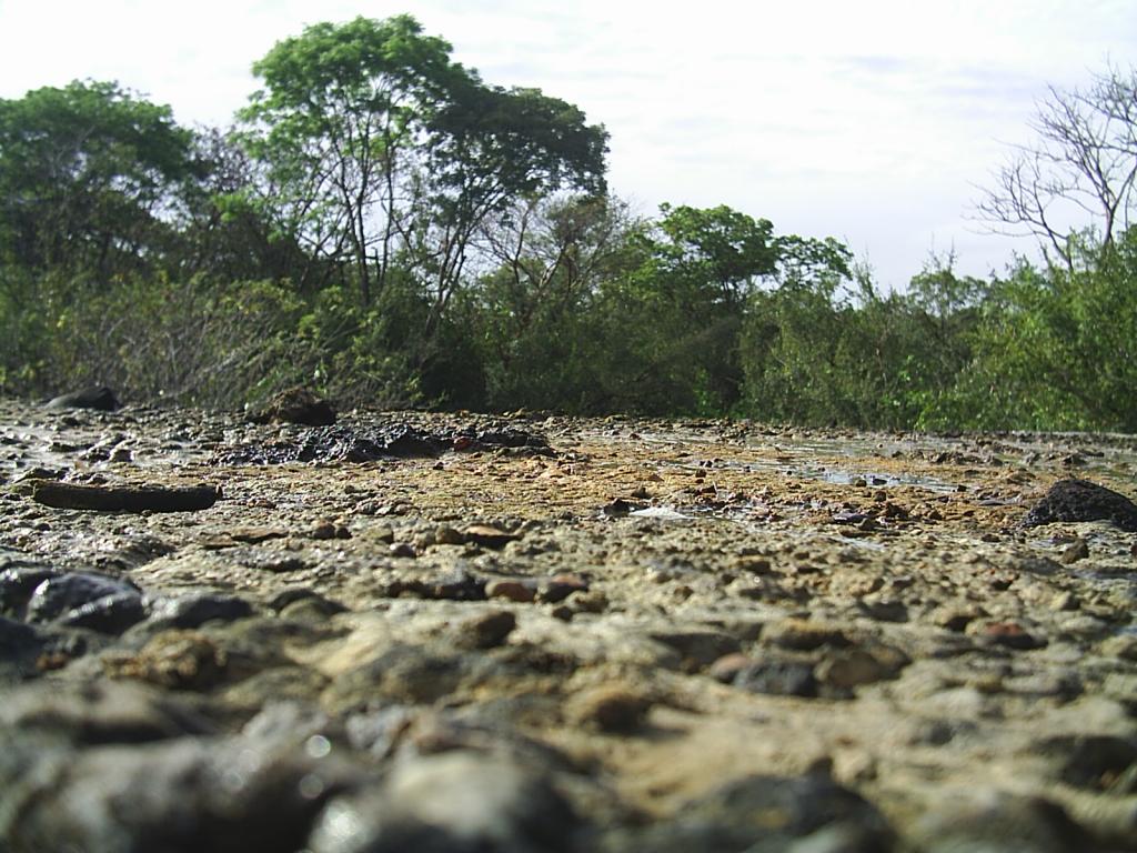 Foto de La Mesa de Veraguas, Panamá