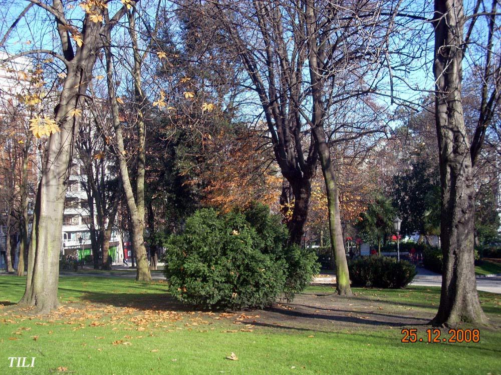 Foto de Oviedo (Asturias), España