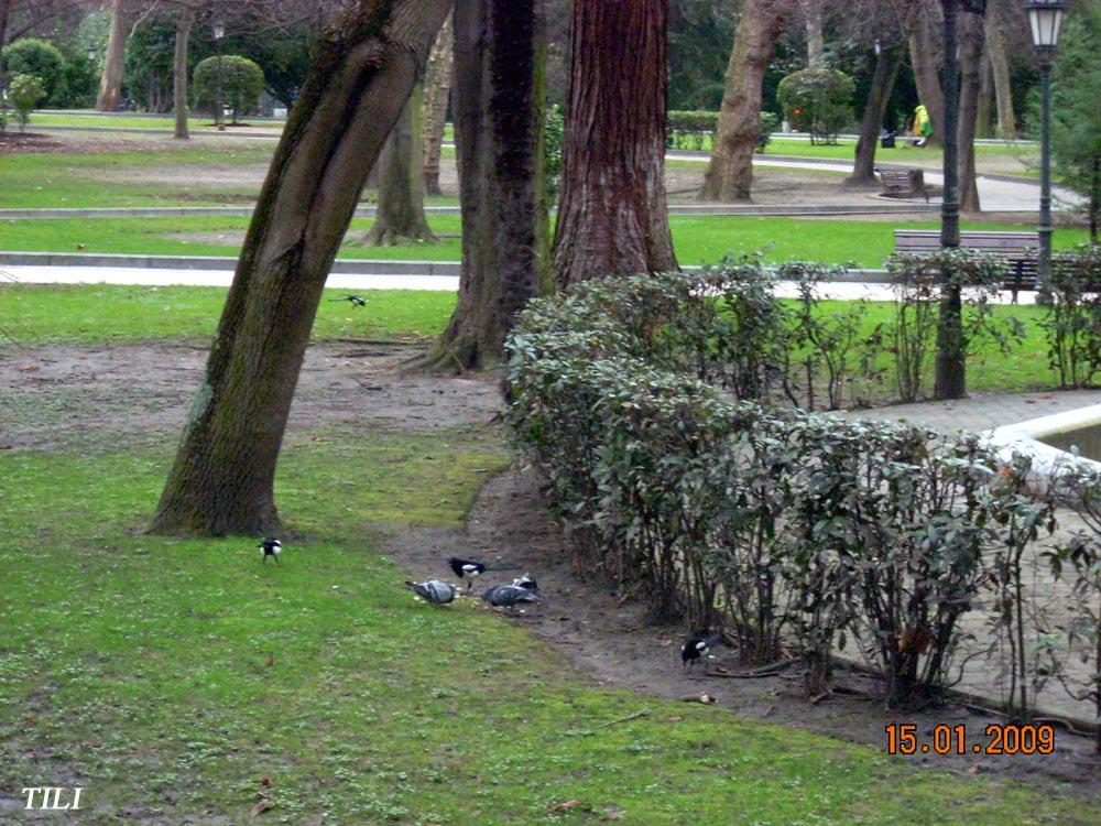 Foto de Oviedo (Asturias), España