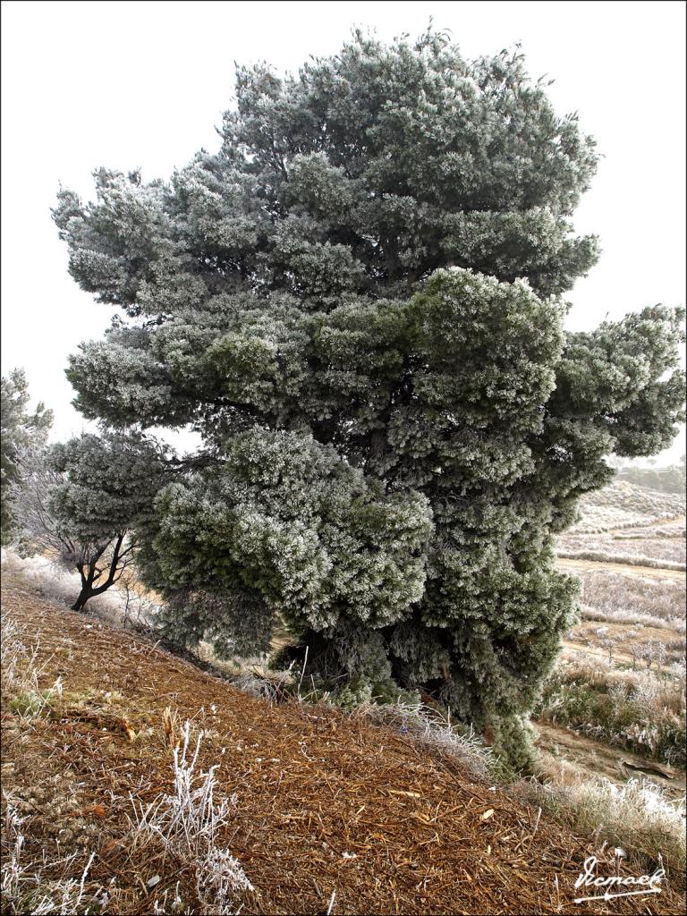 Foto de Zaragoza (Aragón), España