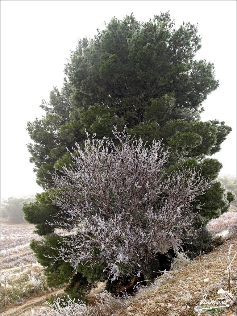 Foto de Zaragoza (Aragón), España