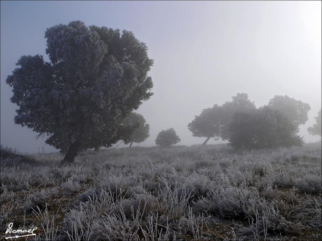 Foto de La Muela (Zaragoza), España