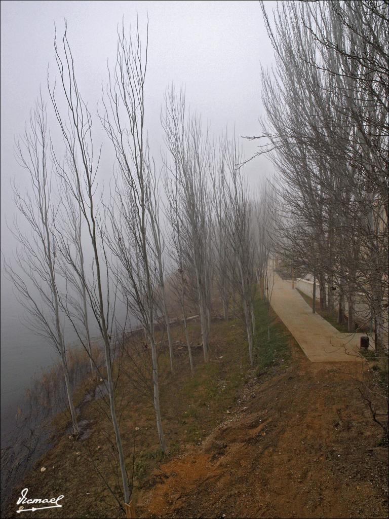 Foto de Zaragoza (Aragón), España