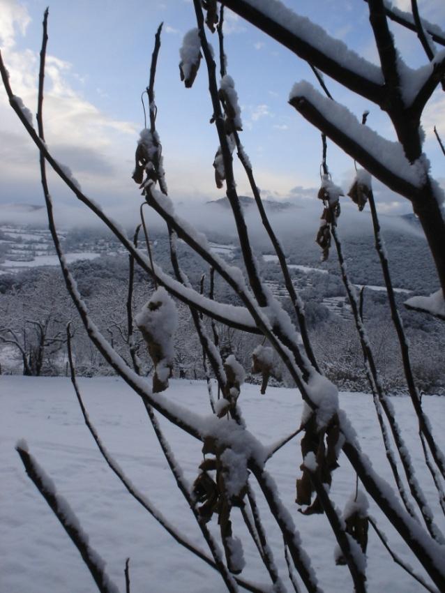 Foto de Peramea (Lleida), España