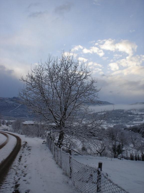 Foto de Peramea (Lleida), España