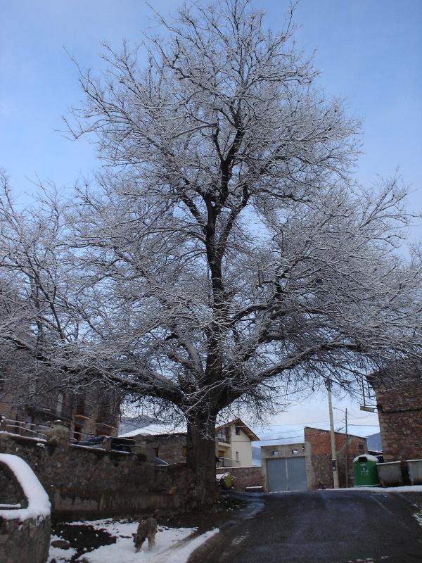 Foto de Peramea (Lleida), España