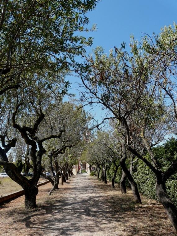 Foto de Parque Natural del Garraf (Barcelona), España