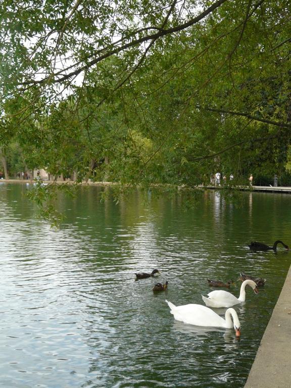 Foto de Puigcerdà (Girona), España