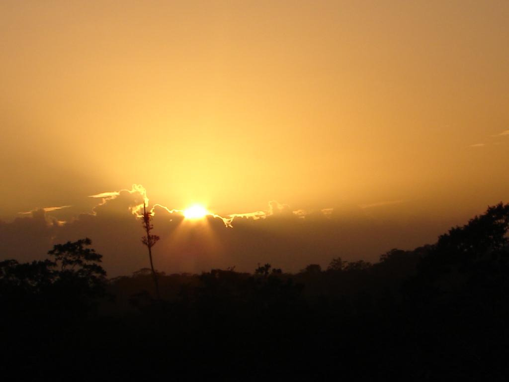 Foto de San Carlos (Alajuela), Costa Rica