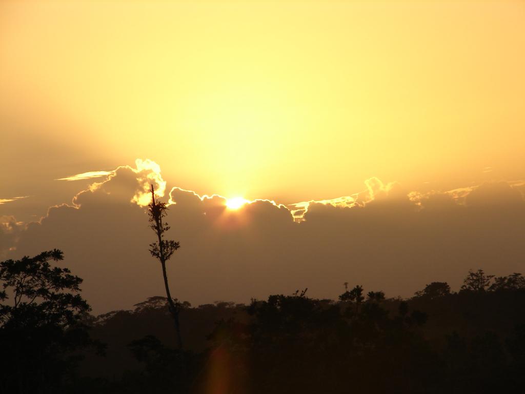 Foto de San Carlos (Alajuela), Costa Rica