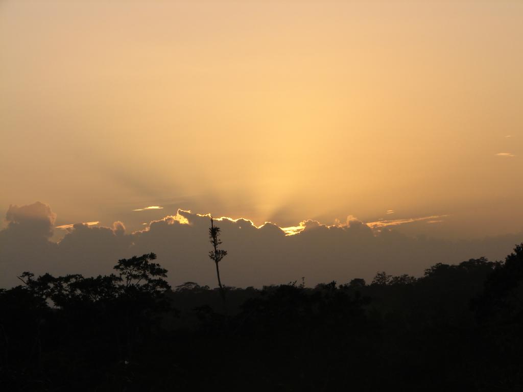 Foto de San Carlos (Alajuela), Costa Rica