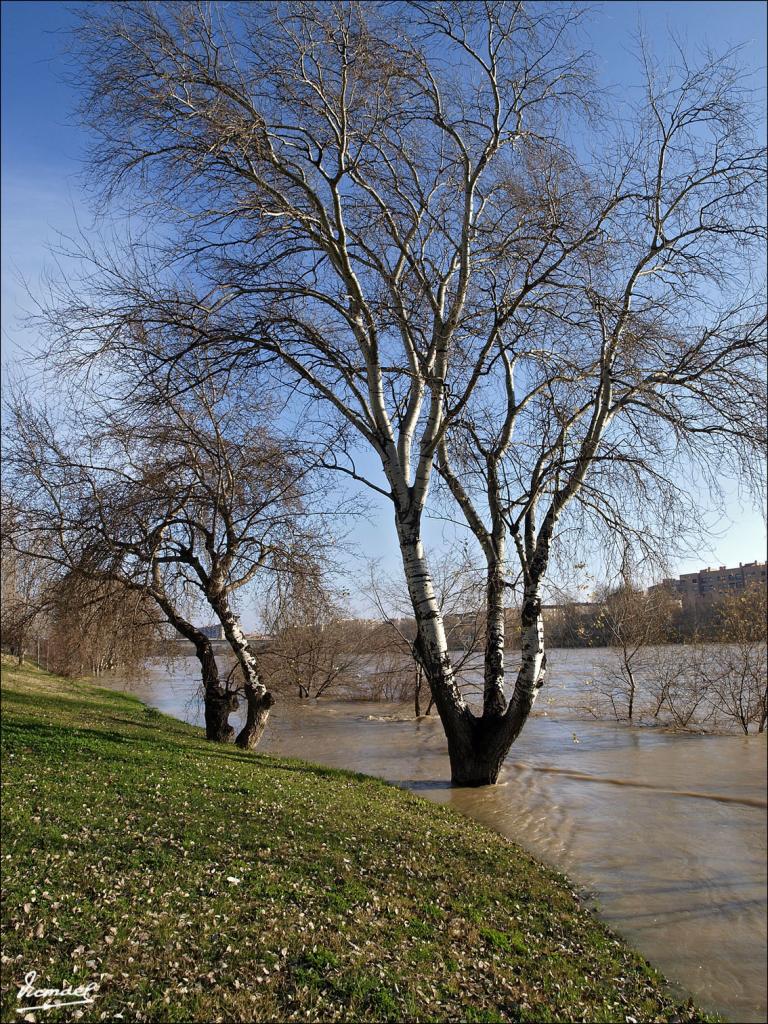 Foto de Zaragoza (Aragón), España