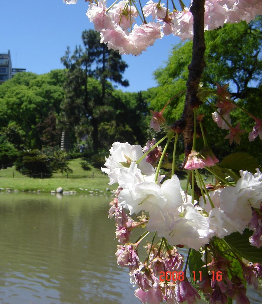 Foto de Ciudad de Buenos Aires, Argentina