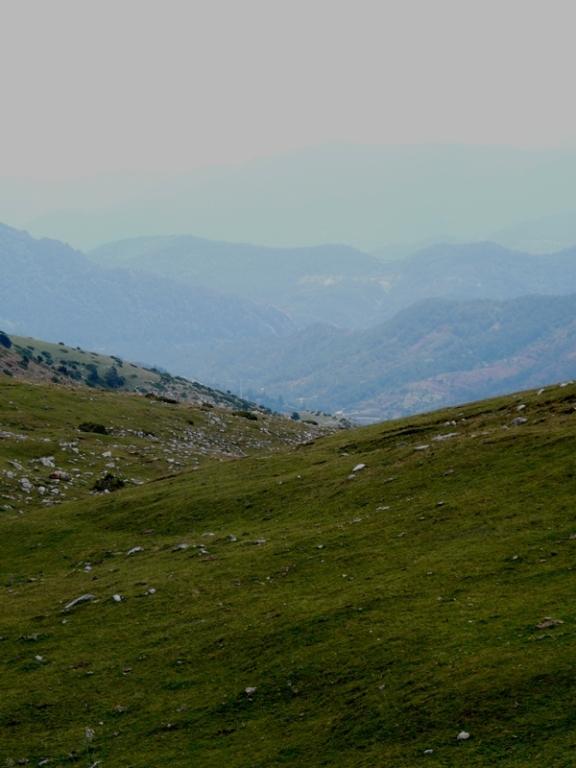 Foto de Cadí (Moixeró) (Lleida), España