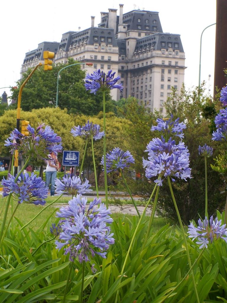 Foto de Ciudad de Buenos Aires, Argentina