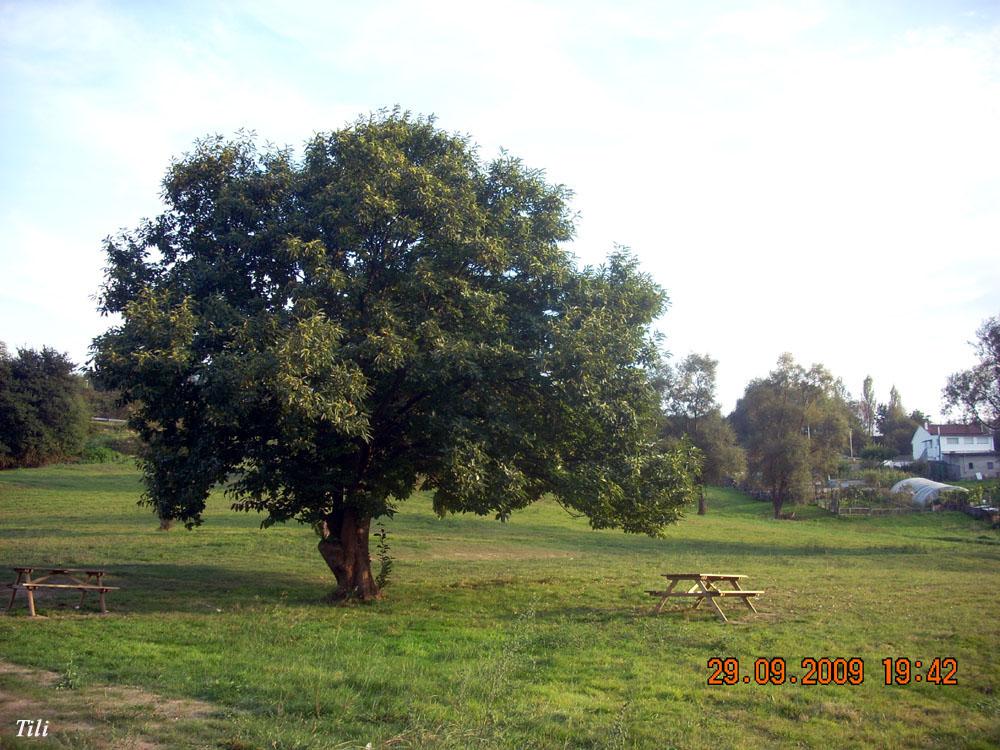 Foto de Oviedo (Asturias), España