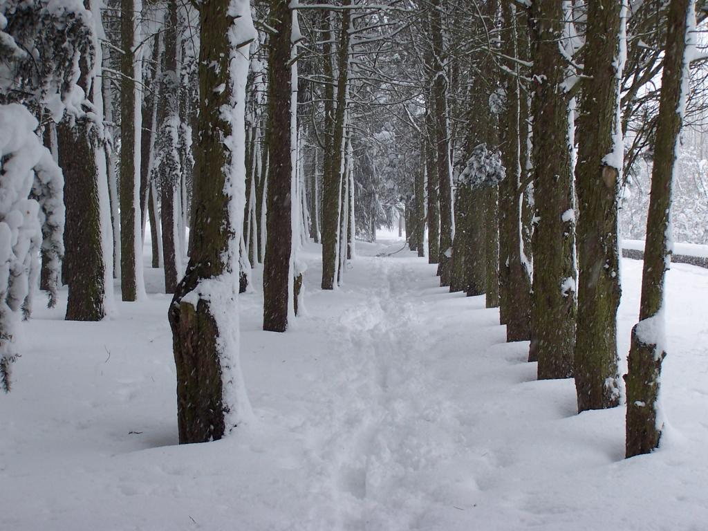 Foto de Burgos (Castilla y León), España