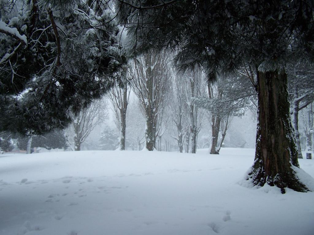 Foto de Burgos (Castilla y León), España