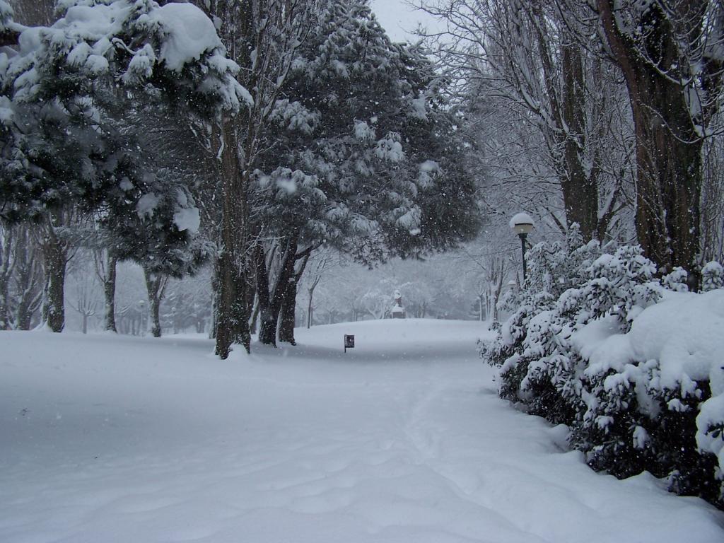 Foto de Burgos (Castilla y León), España