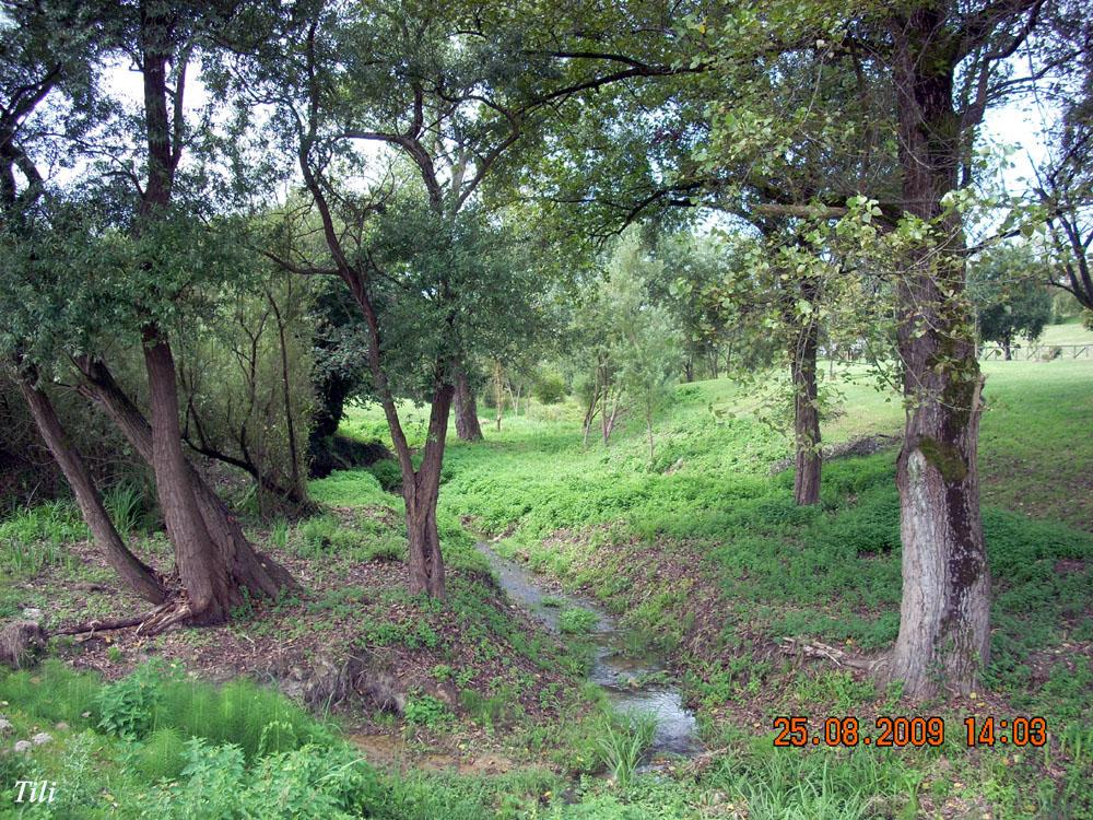 Foto de Oviedo (Asturias), España