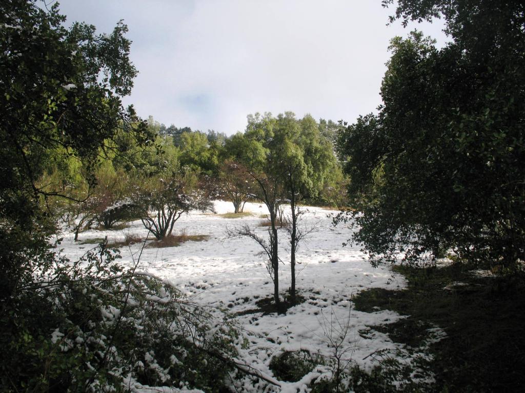 Foto de Andes Centrales, Chile