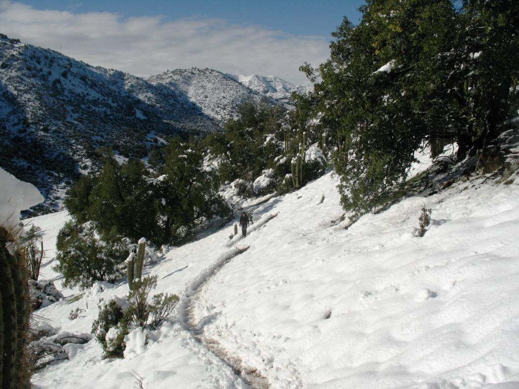 Foto de Andes Centrales, Chile