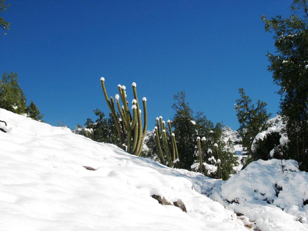 Foto de Andes Centrales, Chile