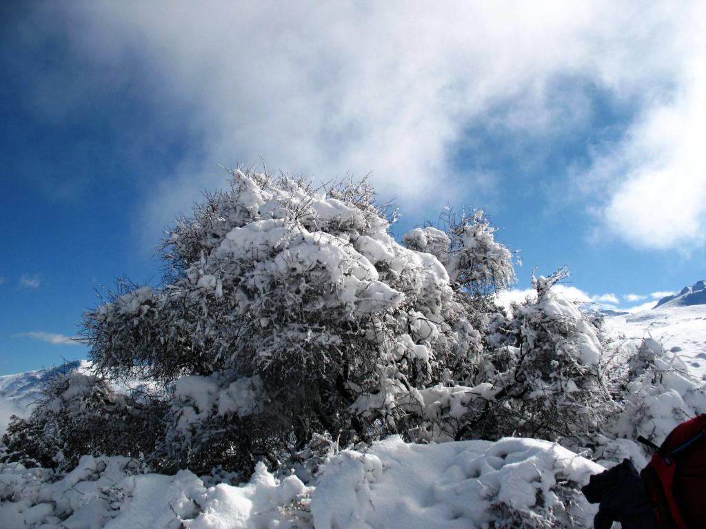 Foto de Andes Centrales, Chile