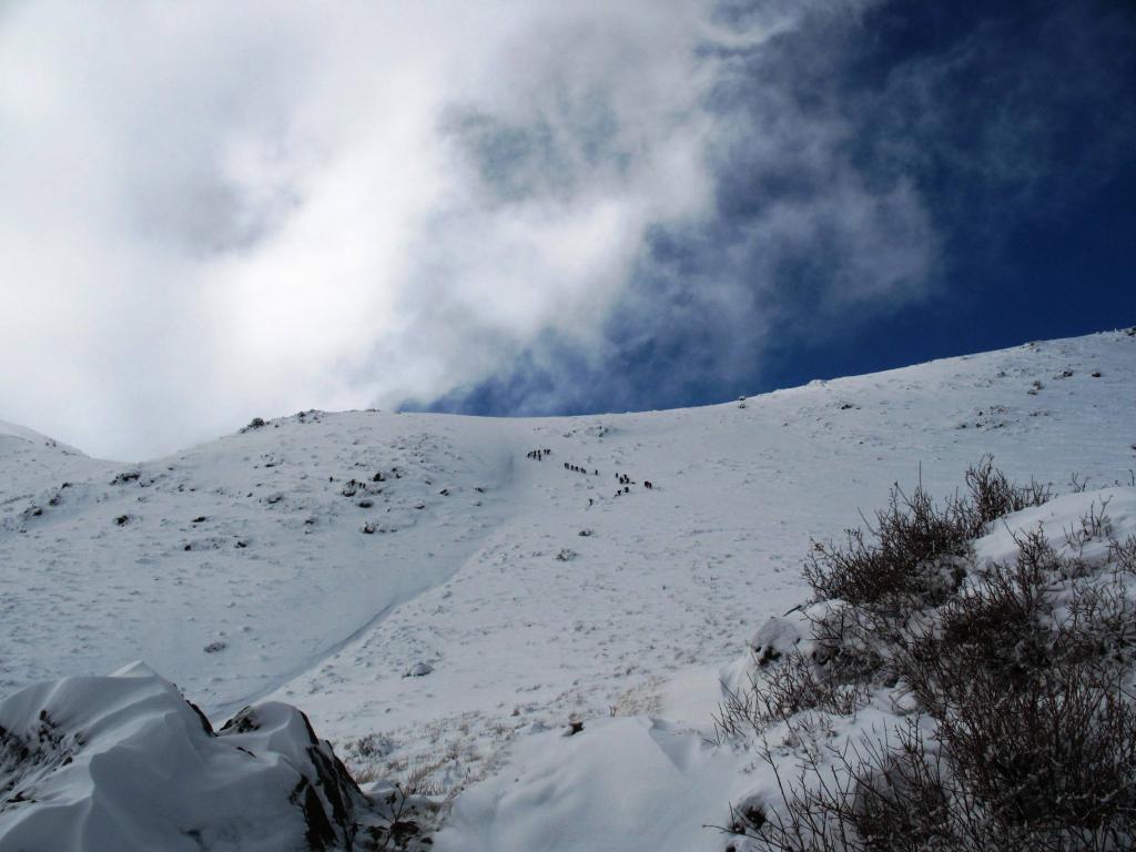 Foto de Andes Centrales, Chile