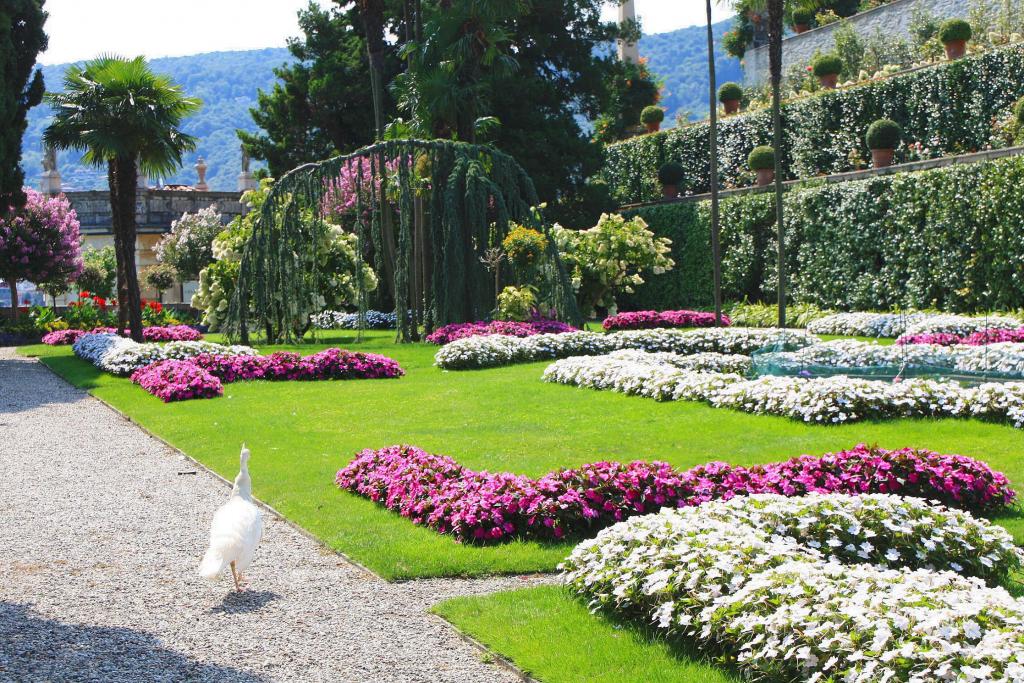 Foto de Stresa, Italia