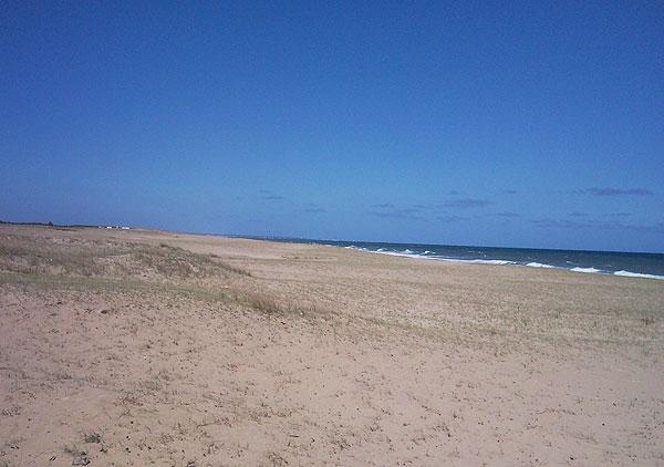 Foto de Las Garzas (Rochas), Uruguay