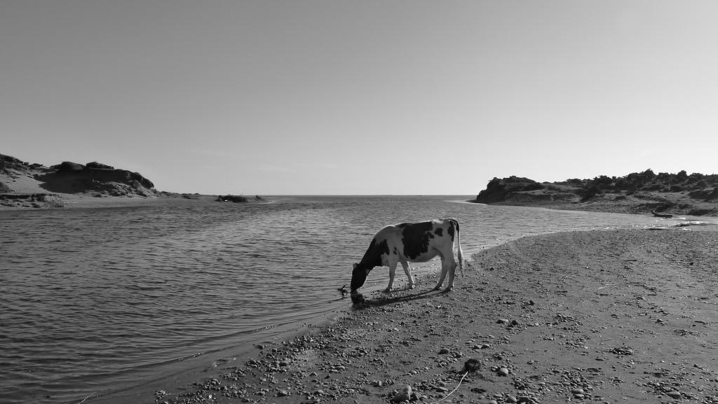 Foto de Cucao, Chile