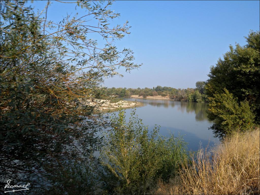 Foto de Zaragoza (Aragón), España