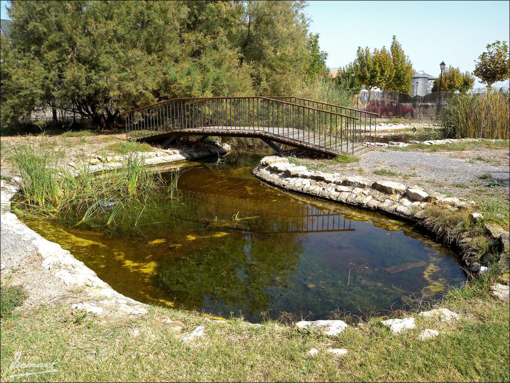 Foto de Zaragoza (Aragón), España