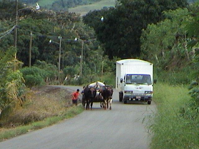 Foto de Perez Zaledon (San José), Costa Rica