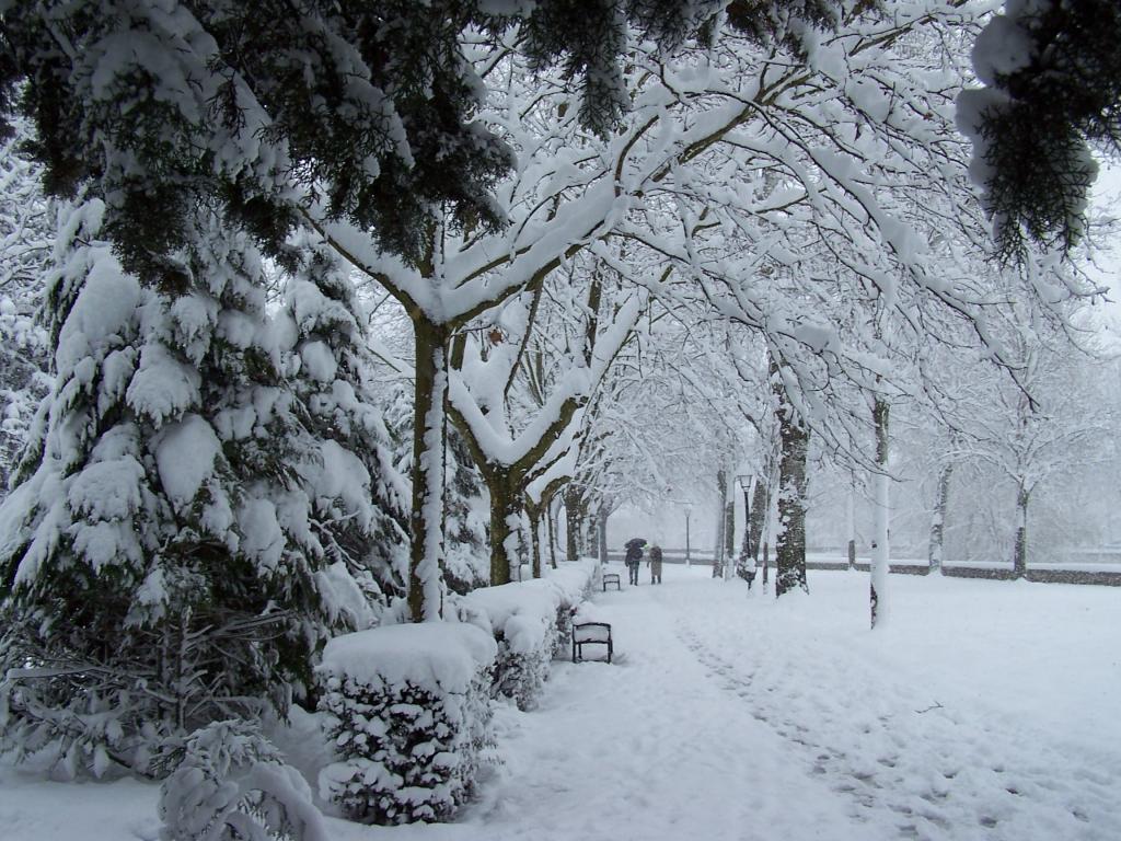 Foto de Burgos (Castilla y León), España