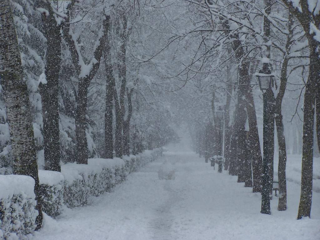 Foto de Burgos (Castilla y León), España