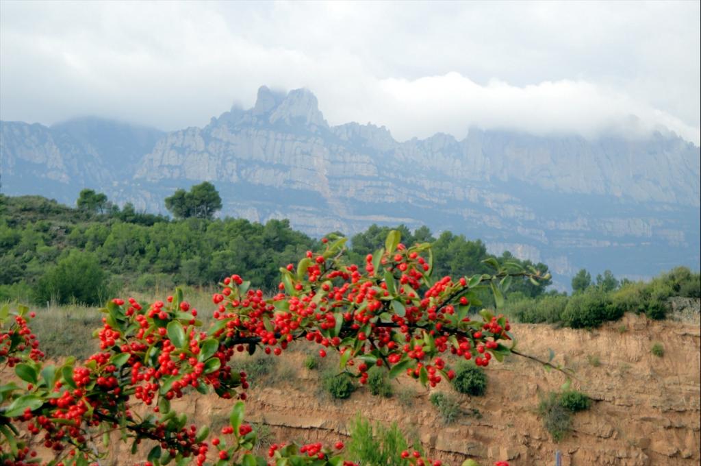 Foto de Montserrat (Barcelona), España