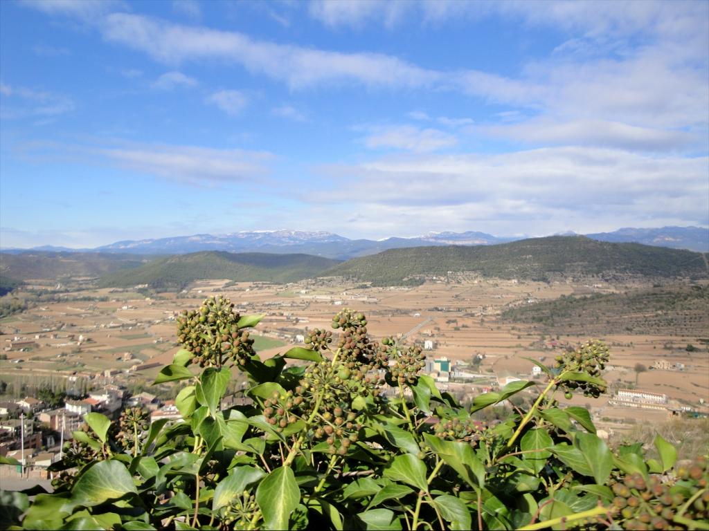 Foto de Cardona (Barcelona), España