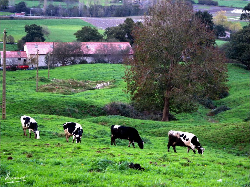 Foto de Liérganes (Cantabria), España