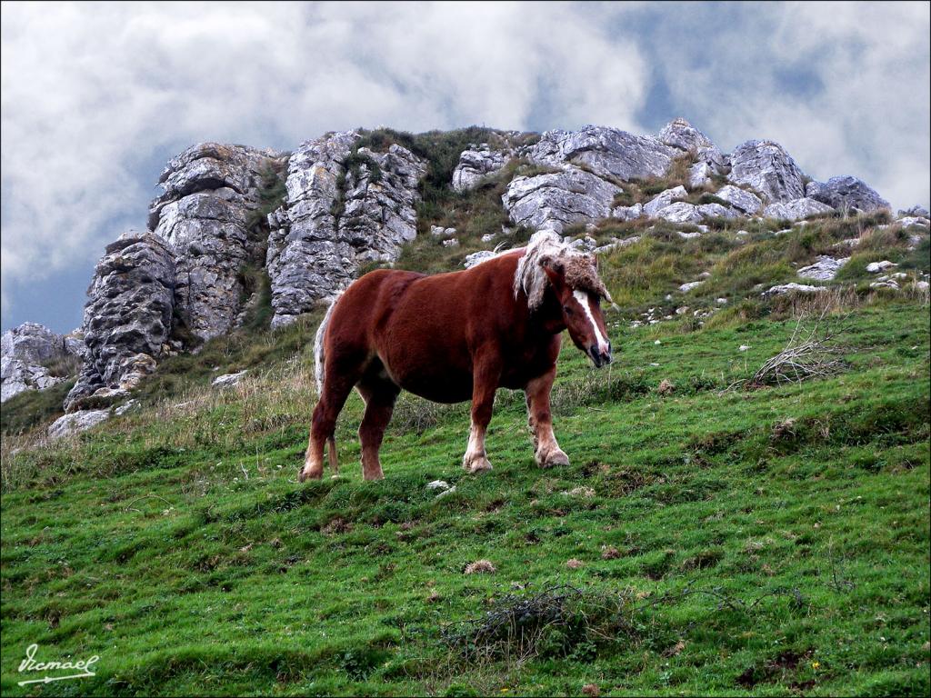 Foto de Liérganes (Cantabria), España