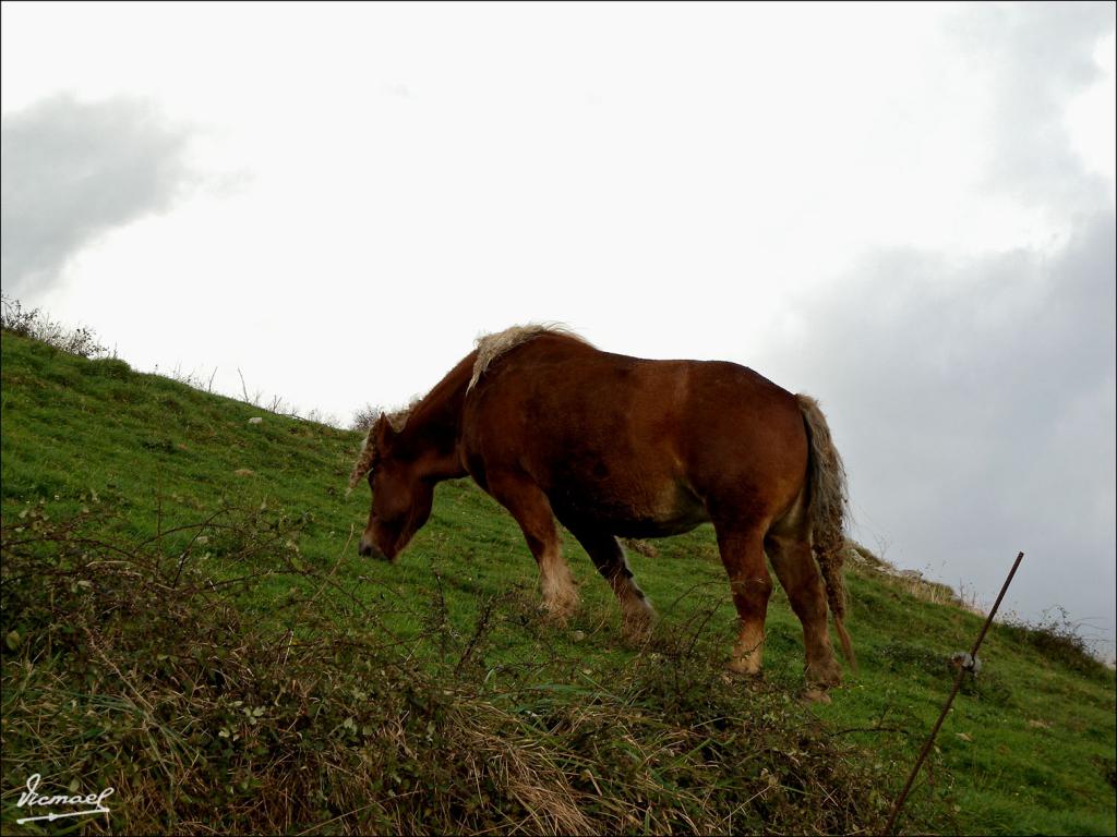 Foto de Liérganes (Cantabria), España