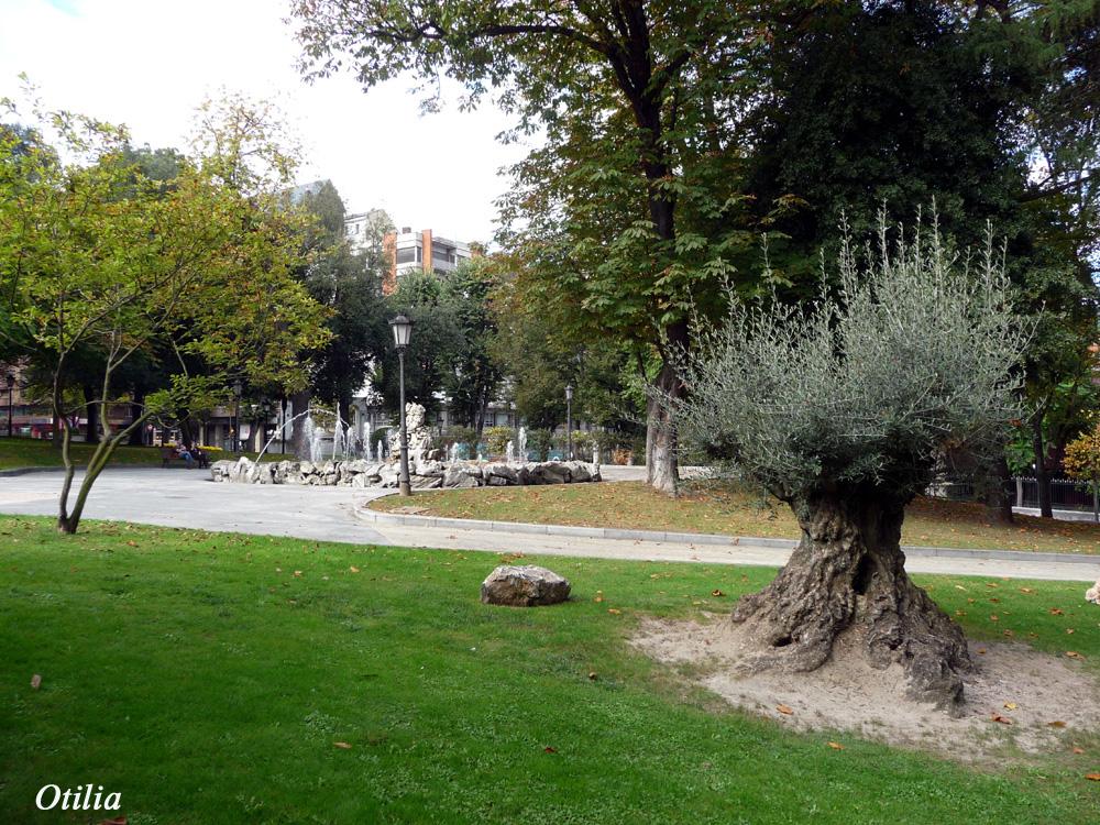 Foto de Oviedo (Asturias), España