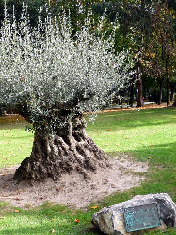 Foto de Oviedo (Asturias), España