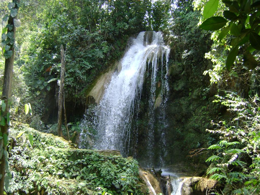 Foto de Puente Grande, Honduras