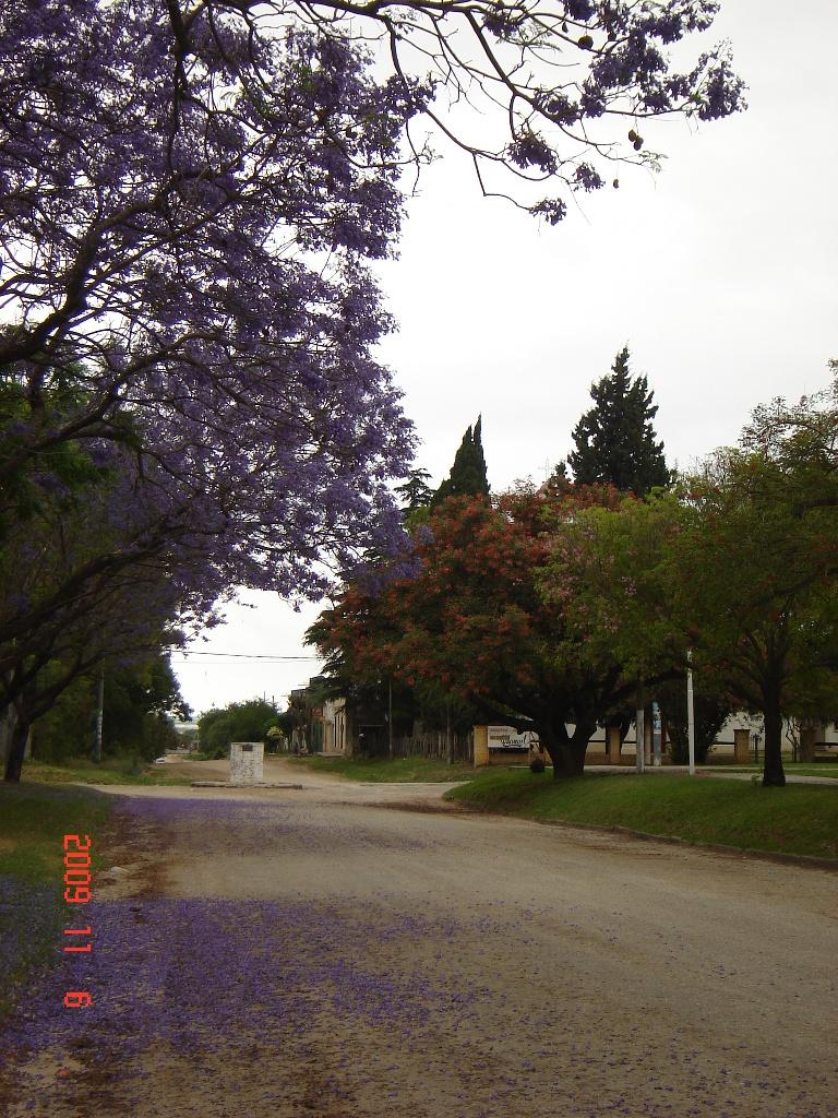 Foto de Victoria (Entre Ríos), Argentina