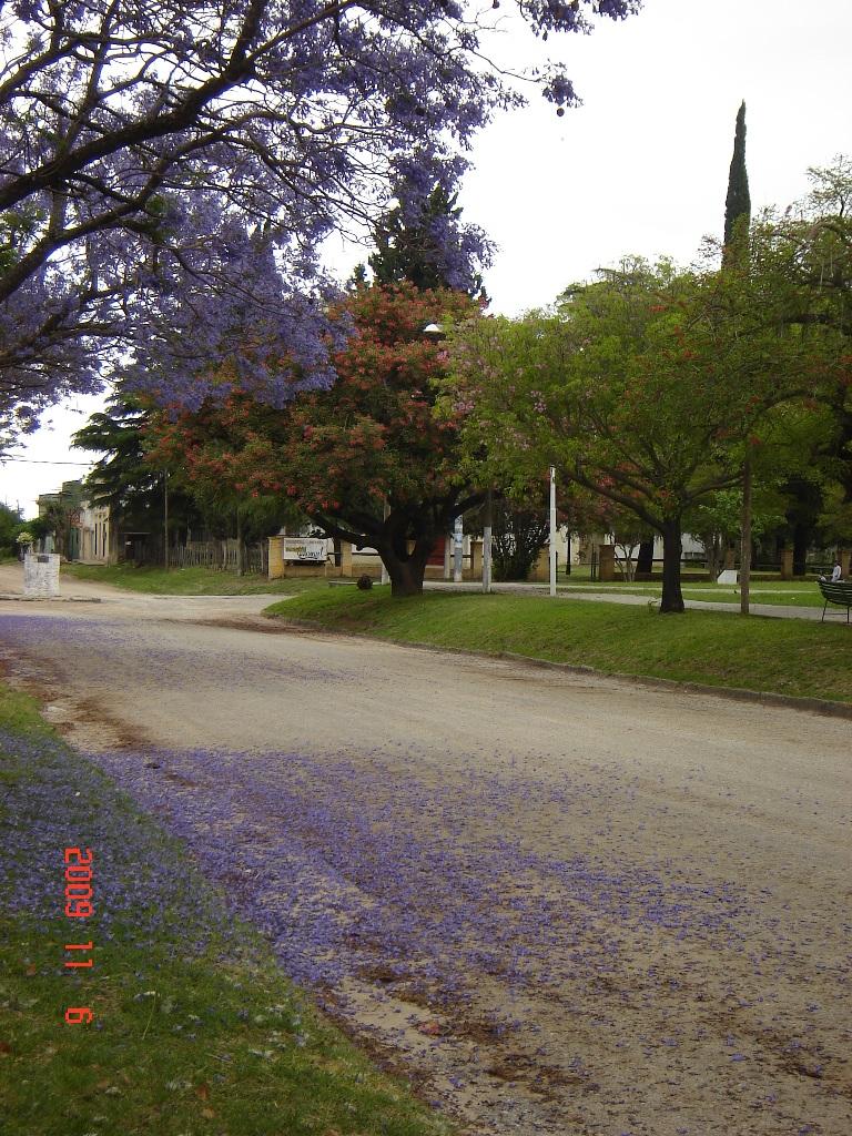 Foto de Victoria (Entre Ríos), Argentina